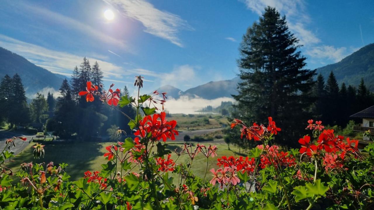 Kraners Alpenhof Bio Bed And Breakfast Pension ويسنسي المظهر الخارجي الصورة