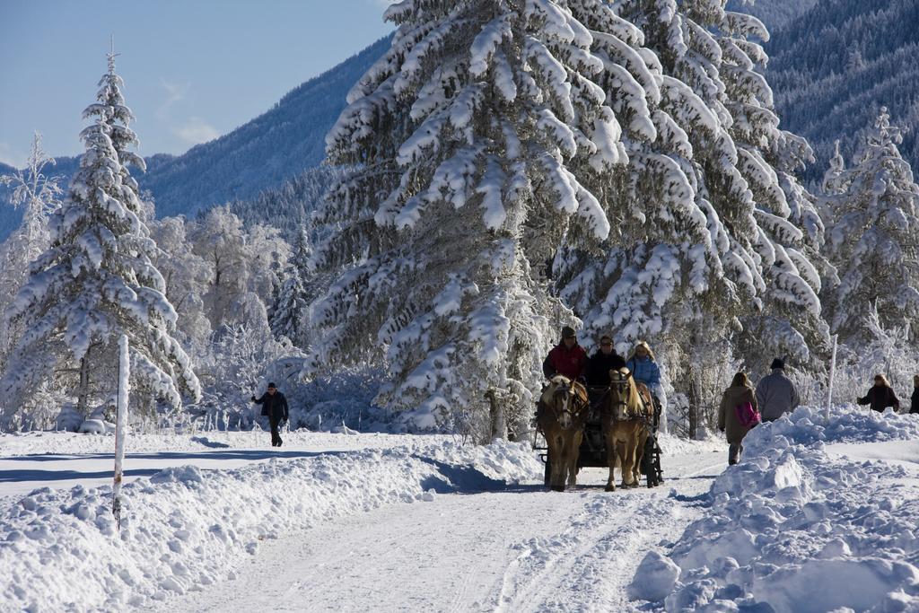 Kraners Alpenhof Bio Bed And Breakfast Pension ويسنسي المظهر الخارجي الصورة