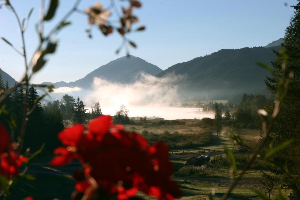Kraners Alpenhof Bio Bed And Breakfast Pension ويسنسي المظهر الخارجي الصورة